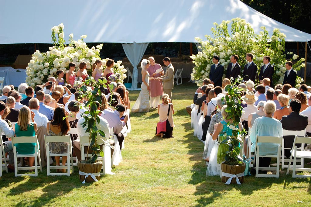 Wedding ceremony on the grass lawn