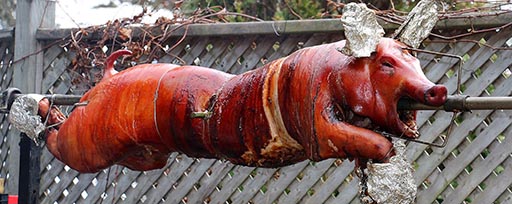 whole roasted suckling Pig